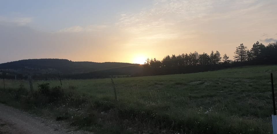 Day seven 11. July - The Cévennes